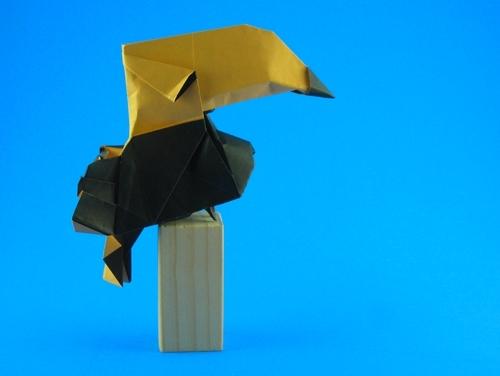 Origami tukan