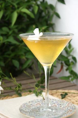 Zlatý jasmínový martini