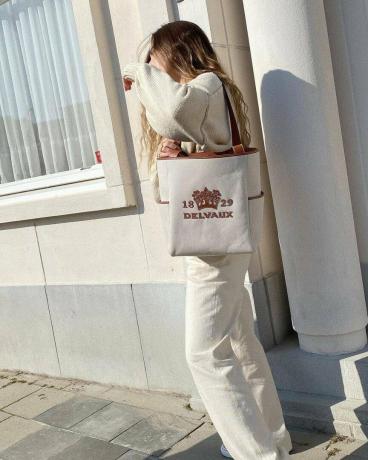 nejlepší designové plátěné tašky: Delvaux Delight tote
