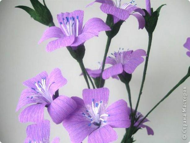 fialové papírové květy