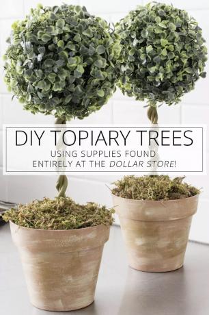 Pohon Topiary DIY - Proyek Toko Dolar