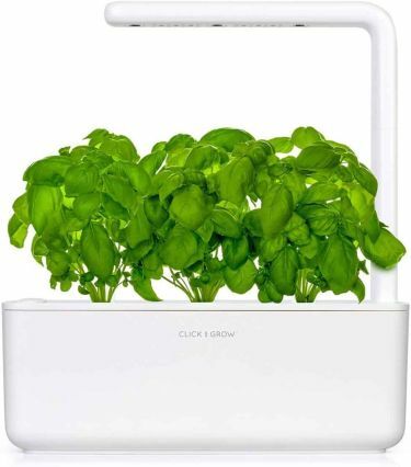 Click & Grow Smart Garden Kit