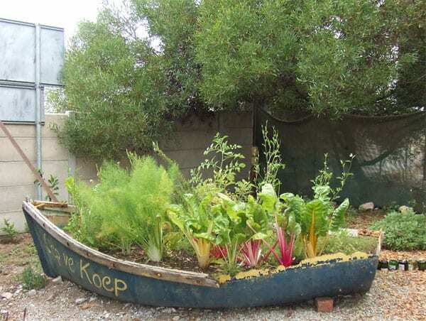 Garten in einem Boot