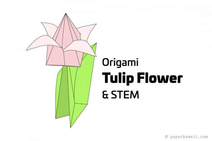 Origami tulipán a stonek ilustrace