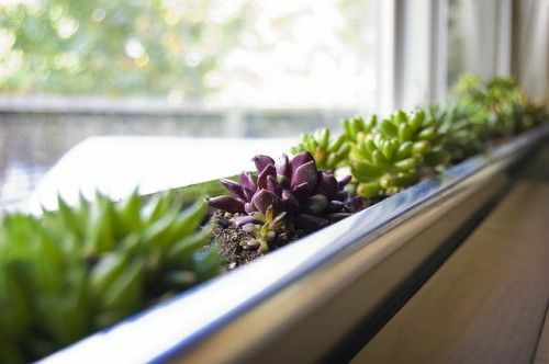 Scatola per finestra grondaia in alluminio fai da te per piante grasse