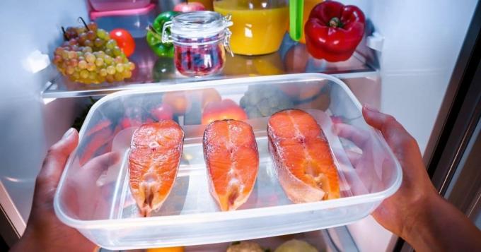 Fillet salmon dimasukkan ke dalam freezer