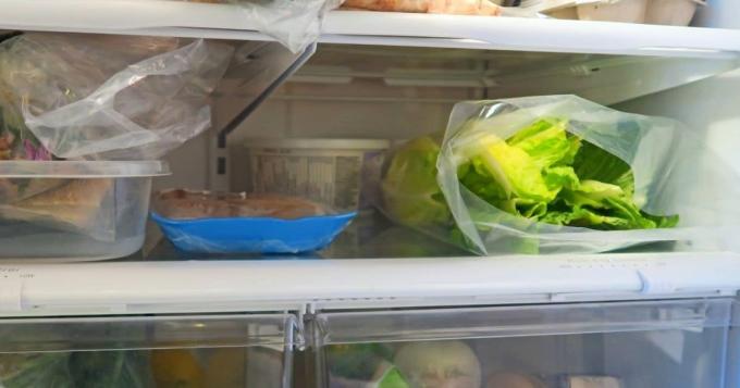 jak dlouho salát vydrží lednici
