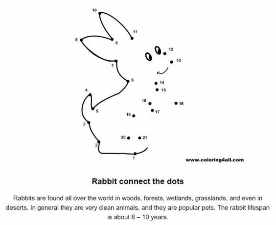 Hra s propojením bodů tvořící králíka