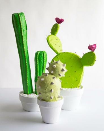 Plantenbak voor cactussen van papier-maché