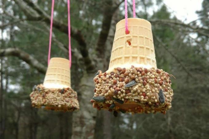 DIY jäätelökartio lintujen syöttölaitteet