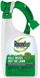 Roundup siap semprot untuk halaman rumput