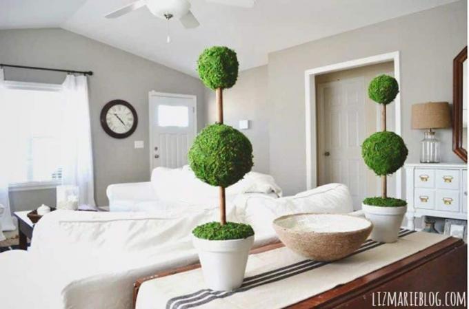 Diy sammal topiary