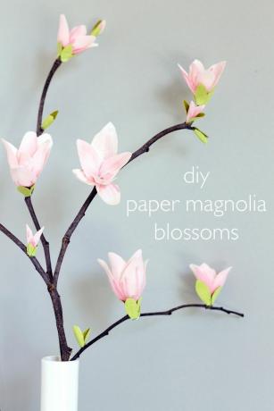 magnolii de hârtie