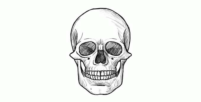 Как нарисовать переднюю часть черепа финал