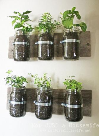 Mason jar väggplanter