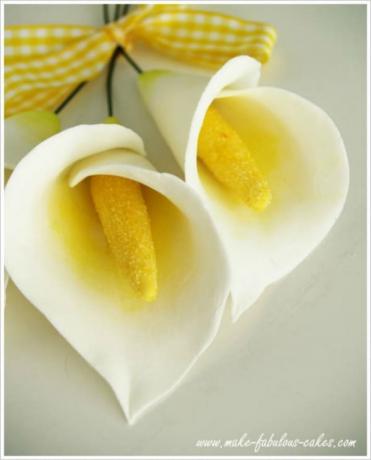 Pasta permen karet buatan sendiri cala lily 2