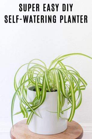 DIY bílý moderní samozavlažovací květináč
