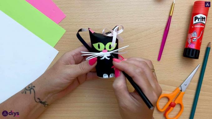 איך להכין נייר טואלט רול נקודות חתול