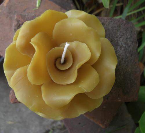Vyřezávaná růže z včelího vosku