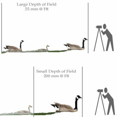 ilustração de profundidade de campo