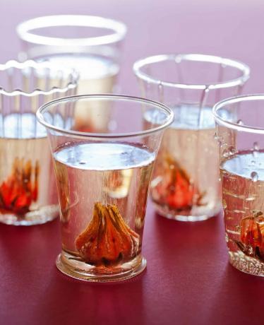 Hibiscus ingefära champagne cocktail recept
