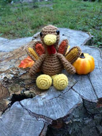 Crochet Thanksgiving Turki Pola Gratis