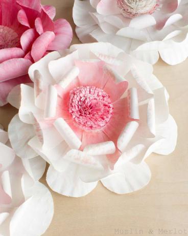 papierový tanierový kvet