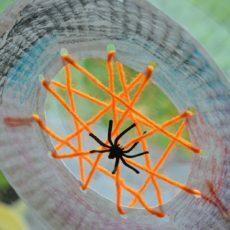 Prato de papel e teia de aranha de fios