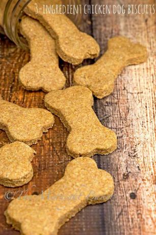 3 ingredientų vištienos šunų sausainiai