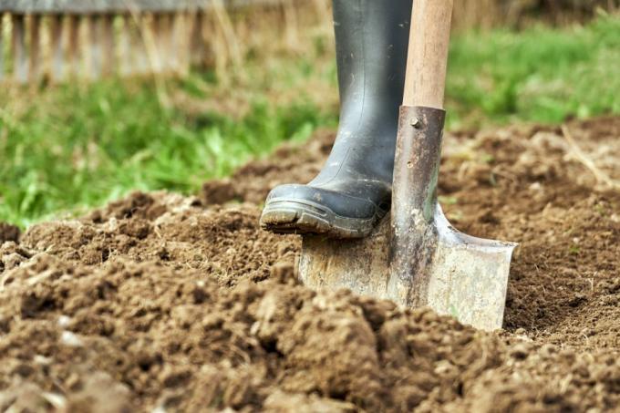 Ajutați la fixarea solului argilos