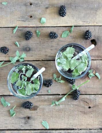 Air infus blackberry mint