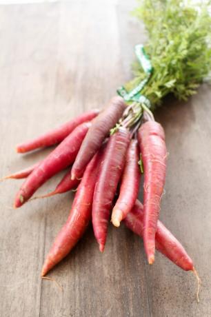 Zutaten für Karotten auf dem Bauernmarkt
