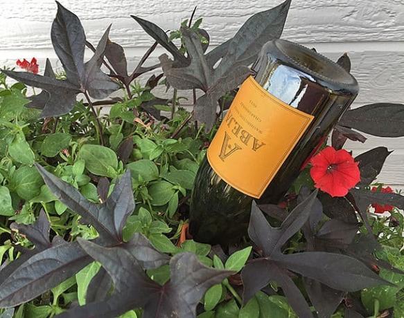 DIY vinflaska självvattnande planter