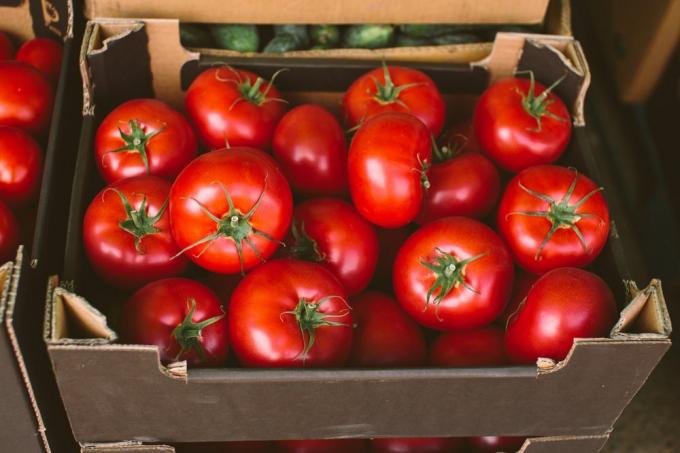 Schritte zum Speichern von Tomaten