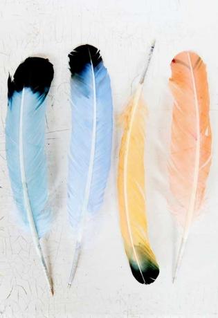 Bolígrafos de plumas de colores