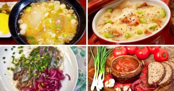 Soepen, stoofschotels, marinades en sauzen met groene uien