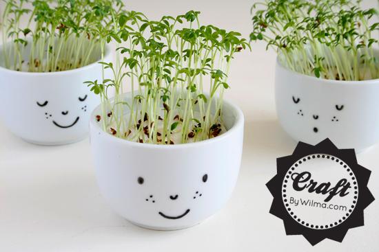 schattige-cress-cups-with-a-face-diy-2