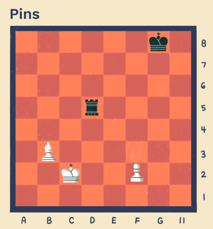 Булавки в шахматах