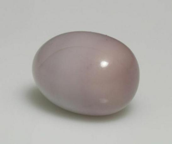 Retas levandų Quahog perlas