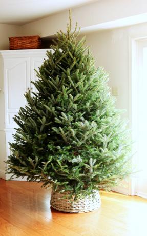 كيفية جعل سلة في تنورة شجرة عيد الميلاد