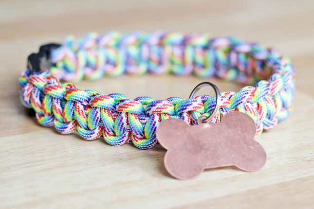 Rainbow paracord hundhalsband