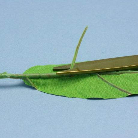 As veias de plástico são descascadas da parte inferior das folhas de tecido