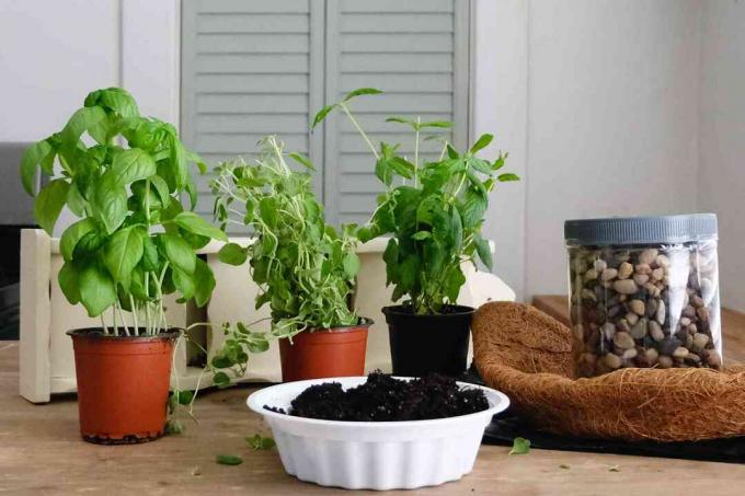 zásoby pro vertikální bylinkovou zahradu