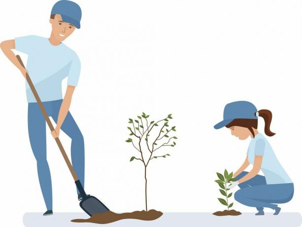 木の植え方の説明