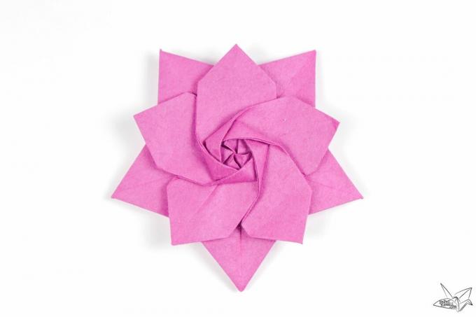 Origami růžová hvězda sakury.