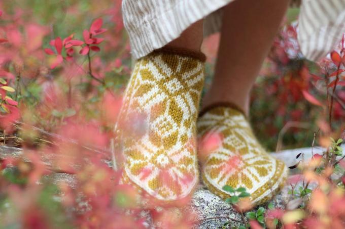 Patrón de zapatillas de flor de estrella ártica