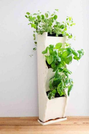 унутрашња вертикална садница за биљке