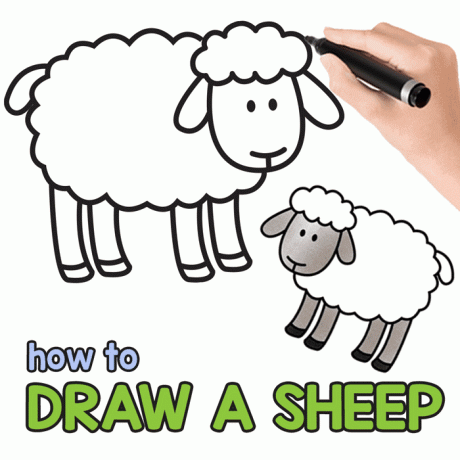 הדרכת ציור כבשים