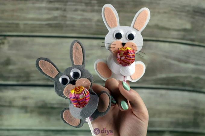 Lollipop მფლობელი იგრძნო bunny