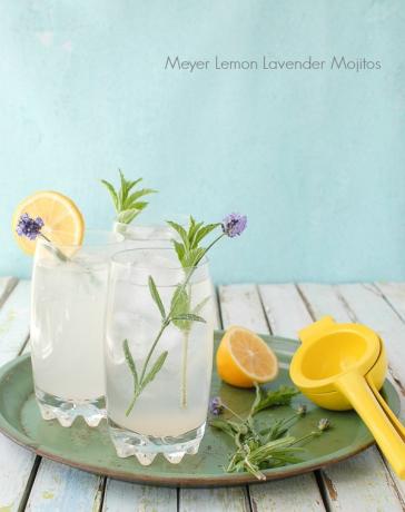 Meyer lemond lavender mojitos